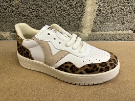  1258266<br>Leopard