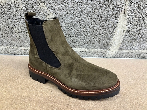 Alpe bottines 2609 